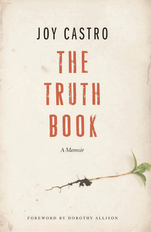 Cover of THE TRUTH BOOK