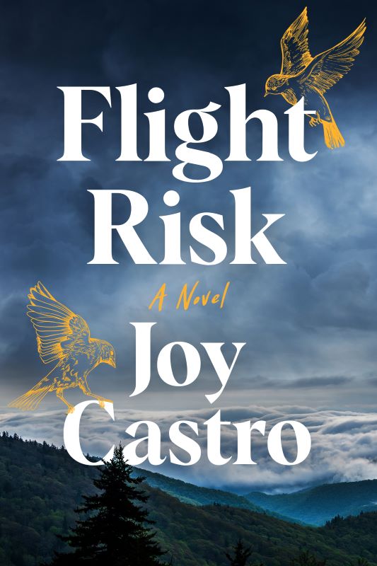 Cover of FLIGHT RISK