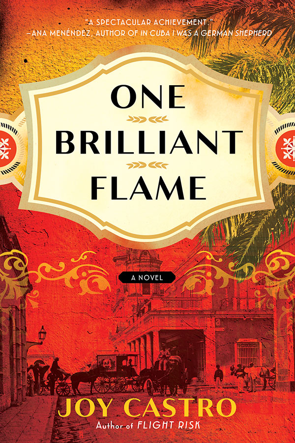 Cover of ONE BRILLIANT FLAME